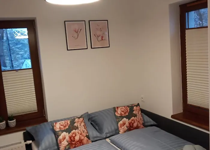 Silence Park - Strefa